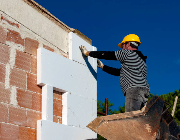 Best Cellulose Insulation in Hohenwald, TN