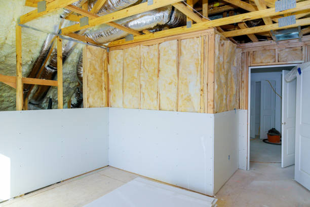 Best Cellulose Insulation in Hohenwald, TN