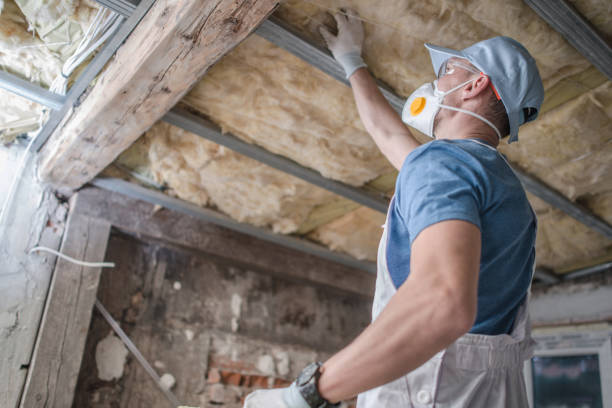 Best Fiberglass Insulation in Hohenwald, TN